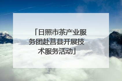 日照市茶产业服务团赴莒县开展技术服务活动