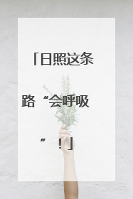 日照这条路“会呼吸”！