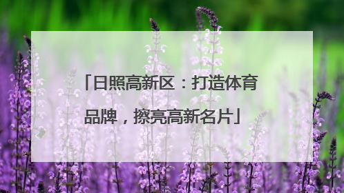 日照高新区：打造体育品牌，擦亮高新名片