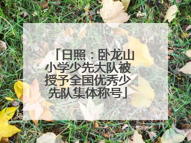 日照：卧龙山小学少先大队被授予全国优秀少先队集体称号