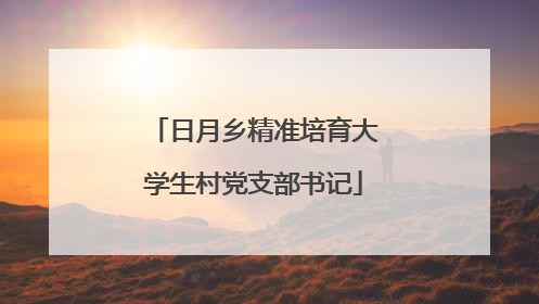 日月乡精准培育大学生村党支部书记