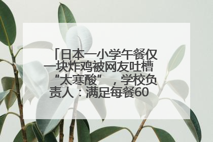 日本一小学午餐仅一块炸鸡被网友吐槽“太寒酸”，学校负责人：满足每餐600千卡的标准