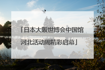 日本大阪世博会中国馆河北活动周精彩启幕