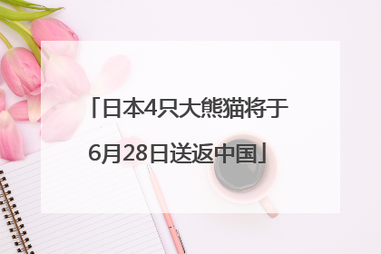 日本4只大熊猫将于6月28日送返中国