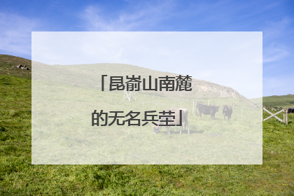 昆嵛山南麓的无名兵茔