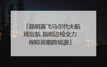 昆明直飞马尔代夫航线复航 昆明边检全力保障暑期跨境游