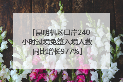 昆明机场口岸240小时过境免签入境人数同比增长977%