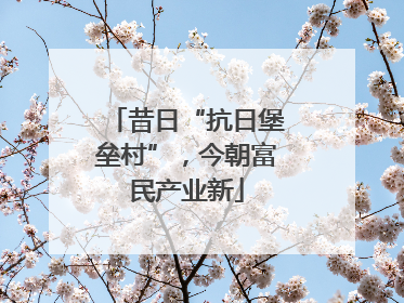 昔日“抗日堡垒村”，今朝富民产业新