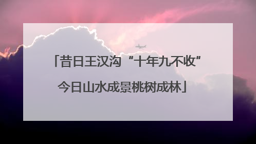 昔日王汉沟“十年九不收” 今日山水成景桃树成林