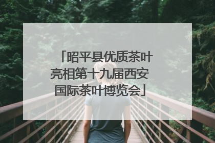 昭平县优质茶叶亮相第十九届西安国际茶叶博览会