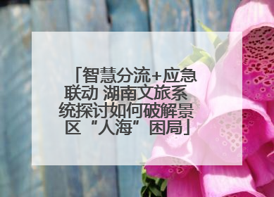 智慧分流+应急联动 湖南文旅系统探讨如何破解景区“人海”困局