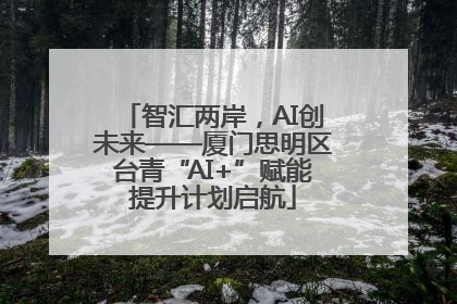 智汇两岸，AI创未来——厦门思明区台青“AI+”赋能提升计划启航