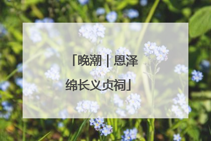 晚潮｜恩泽绵长义贞祠
