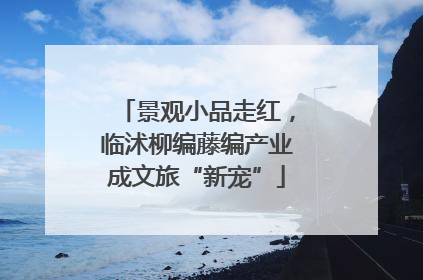 景观小品走红，临沭柳编藤编产业成文旅“新宠”