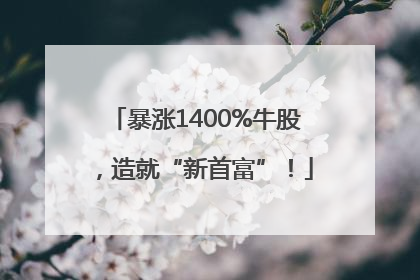 暴涨1400%牛股，造就“新首富”！