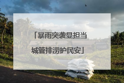 暴雨突袭显担当 城管排涝护民安