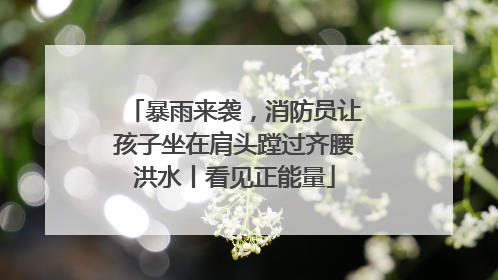 暴雨来袭，消防员让孩子坐在肩头蹚过齐腰洪水丨看见正能量