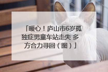 暖心！庐山市6岁孤独症男童车站走失 多方合力寻回（图）