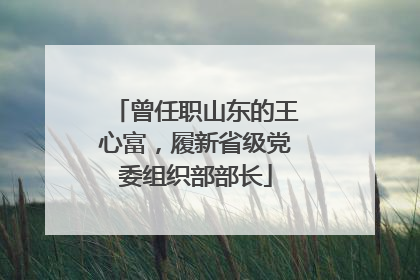 曾任职山东的王心富，履新省级党委组织部部长