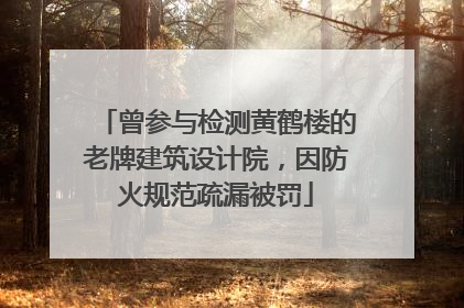 曾参与检测黄鹤楼的老牌建筑设计院，因防火规范疏漏被罚