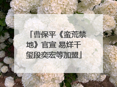 曹保平《蛮荒禁地》官宣 易烊千玺段奕宏等加盟