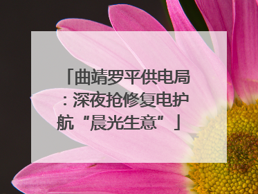 曲靖罗平供电局：深夜抢修复电护航“晨光生意”