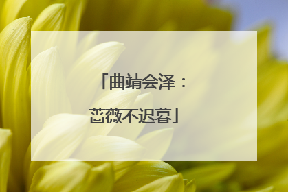 曲靖会泽：蔷薇不迟暮