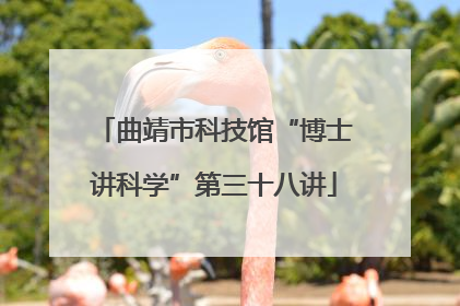 曲靖市科技馆“博士讲科学”第三十八讲