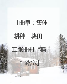 曲阜：集体耕种一块田 二张曲村“稻”路宽