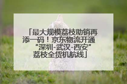 最大规模荔枝助销再添一码！京东物流开通“深圳-武汉-西安” 荔枝全货机航线