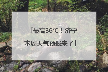 最高36℃！济宁本周天气预报来了