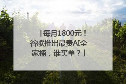 每月1800元！谷歌推出最贵AI全家桶，谁买单？