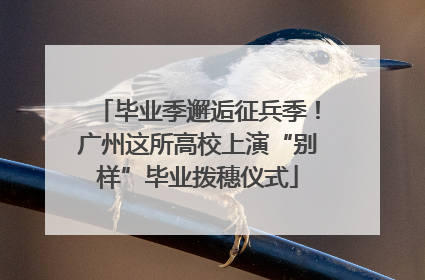 毕业季邂逅征兵季！广州这所高校上演“别样”毕业拨穗仪式