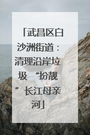武昌区白沙洲街道：清理沿岸垃圾 “扮靓”长江母亲河