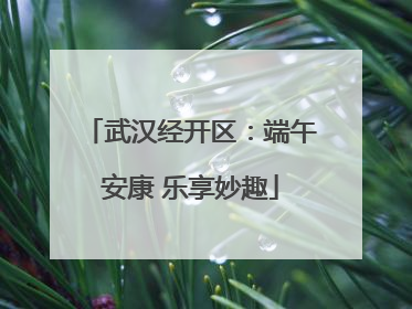 武汉经开区：端午安康 乐享妙趣