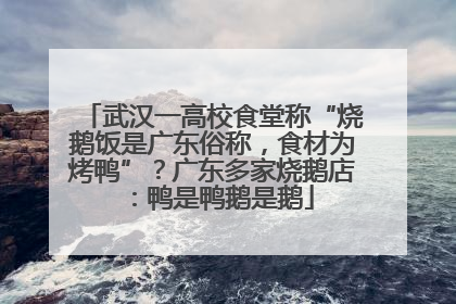 武汉一高校食堂称“烧鹅饭是广东俗称，食材为烤鸭”？广东多家烧鹅店：鸭是鸭鹅是鹅