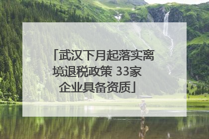 武汉下月起落实离境退税政策 33家企业具备资质
