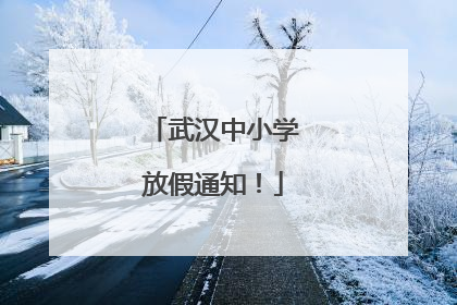 武汉中小学放假通知！