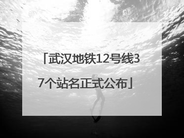 武汉地铁12号线37个站名正式公布