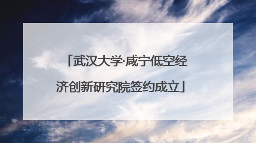 武汉大学·咸宁低空经济创新研究院签约成立