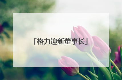 格力迎新董事长