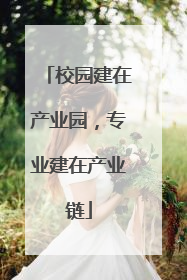 校园建在产业园，专业建在产业链