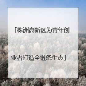 株洲高新区为青年创业者打造全链条生态