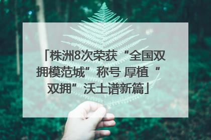 株洲8次荣获“全国双拥模范城”称号 厚植“双拥”沃土谱新篇