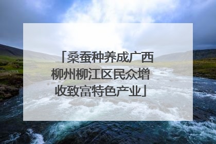 桑蚕种养成广西柳州柳江区民众增收致富特色产业