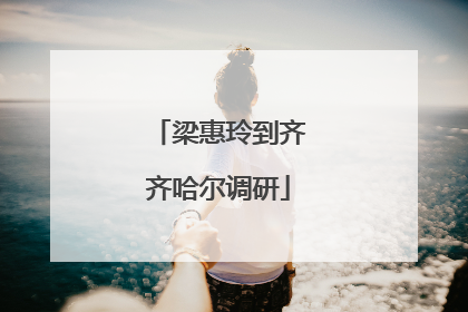 梁惠玲到齐齐哈尔调研