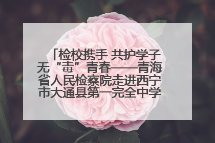 检校携手 共护学子无“毒”青春——青海省人民检察院走进西宁市大通县第一完全中学开展禁毒宣传侧记
