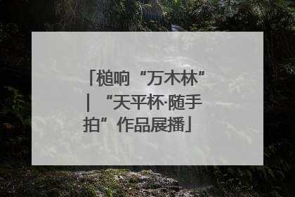 槌响“万木林”｜“天平杯·随手拍”作品展播