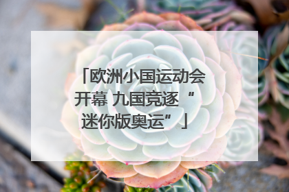 欧洲小国运动会开幕 九国竞逐“迷你版奥运”