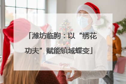 潍坊临朐：以“绣花功夫”赋能镇域蝶变